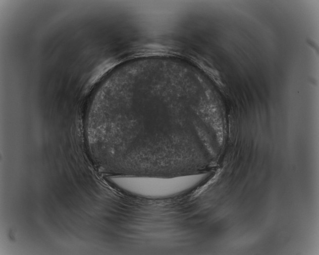 X0000097651453200803280918