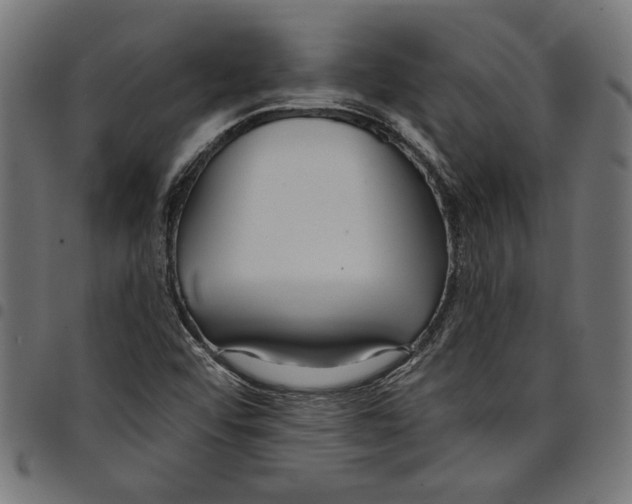 X0000097651456200803280918