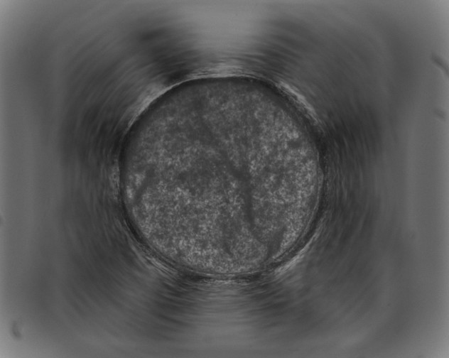 X0000097651457200803280918