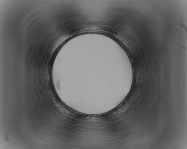 X0000097651458200803280918