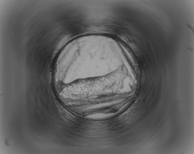 X0000097651459200803280918