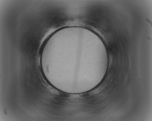 X0000097651462200803280918