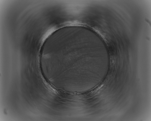 X0000097651463200803280918