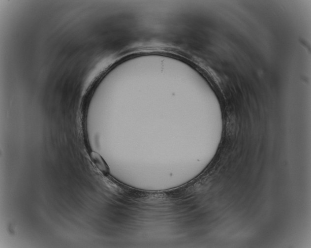 X0000097651464200803280918