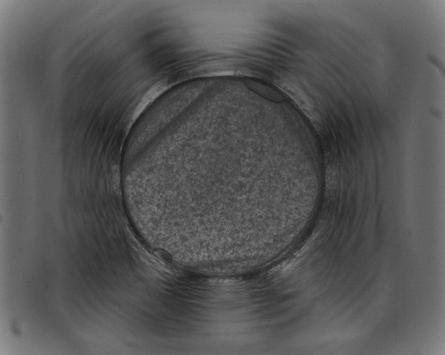 X0000097651465200803280918