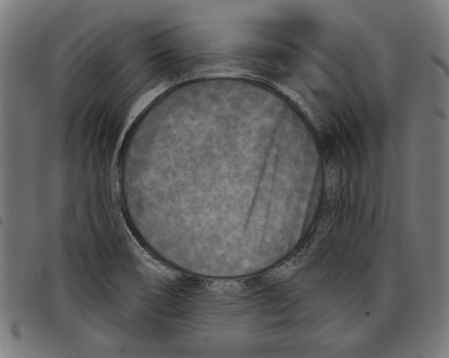 X0000097651466200803280918