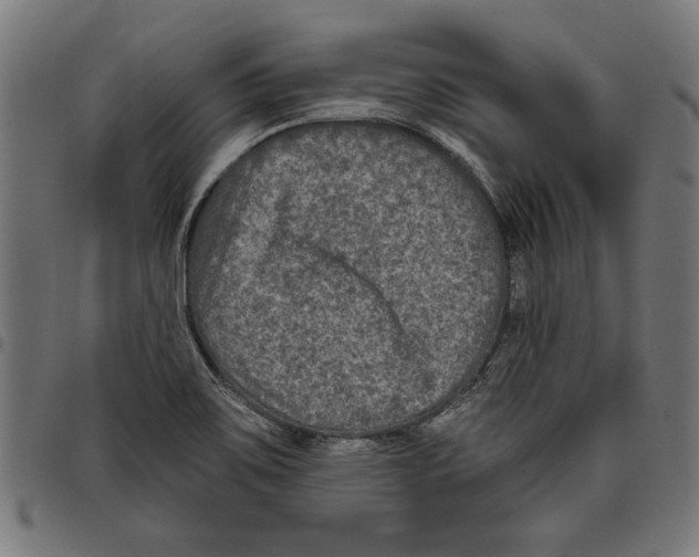 X0000097651467200803280918