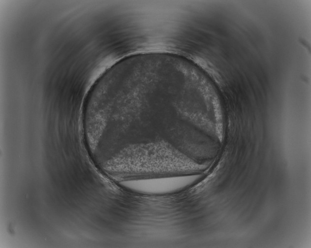 X0000097651469200803280918