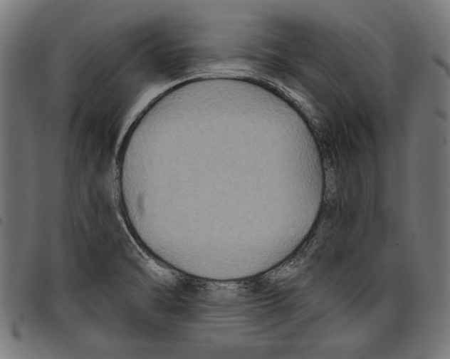 X0000097651470200803280918