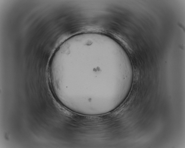 X0000097651471200803280918