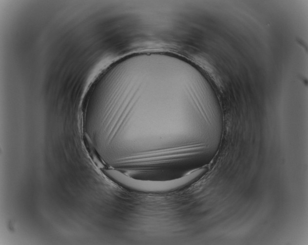 X0000097651472200803280918