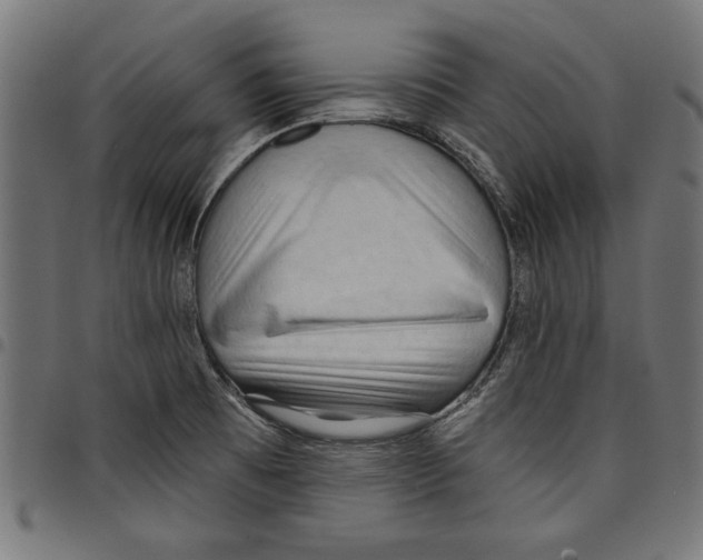 X0000097651473200803280918