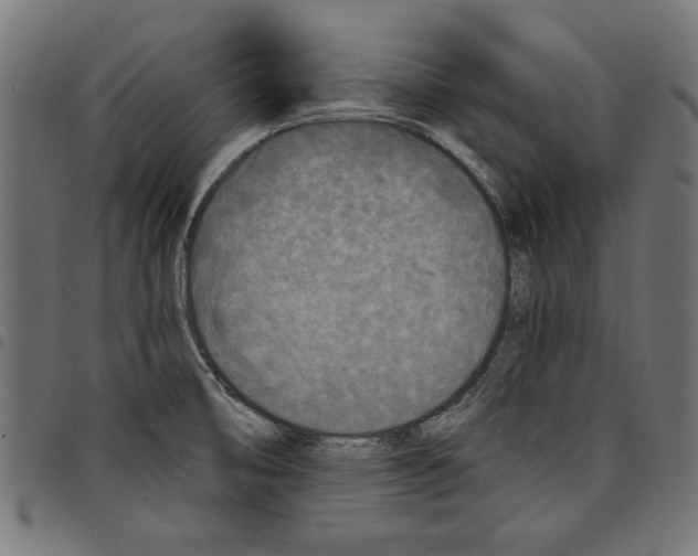 X0000097651474200803280918