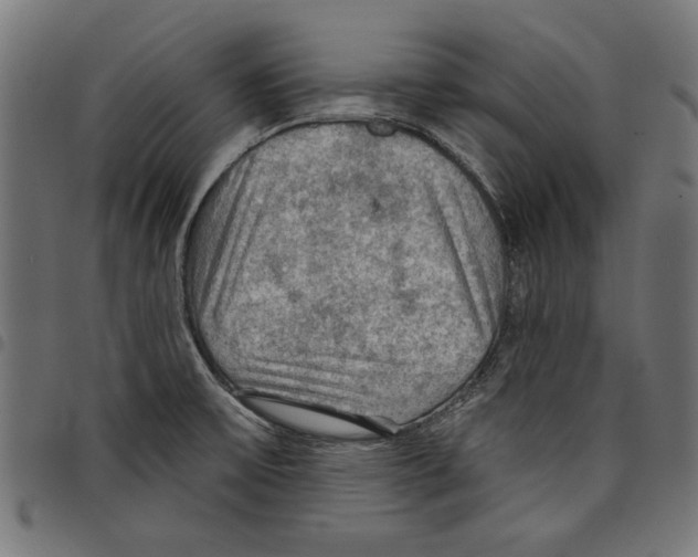 X0000097651475200803280918