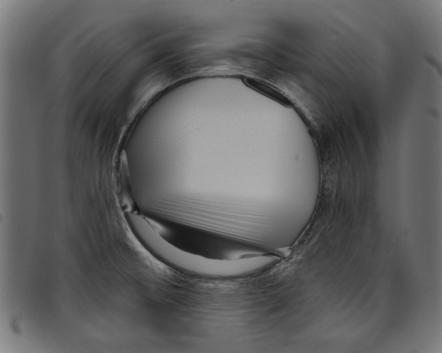 X0000097651476200803280918