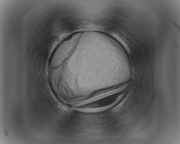 X0000097651477200803280918