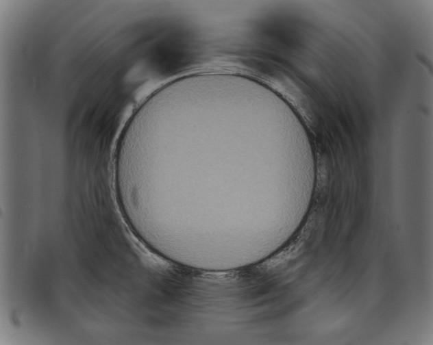 X0000097651478200803280918