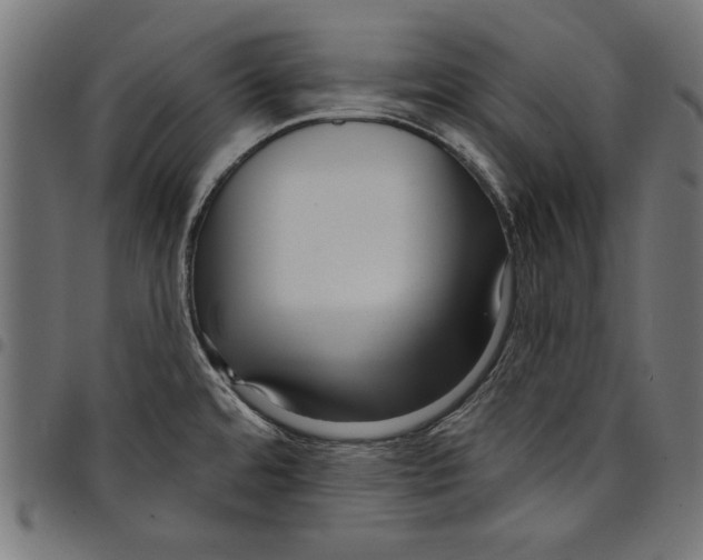 X0000097651480200803280918