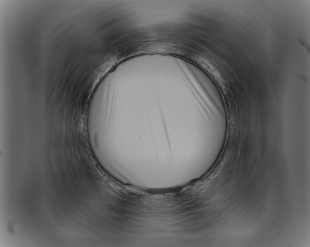 X0000097651481200803280918