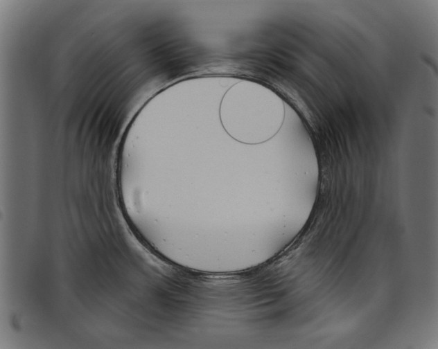 X0000097651483200803280918