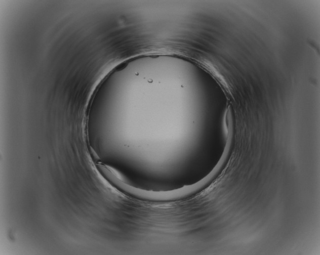 X0000097651484200803280918