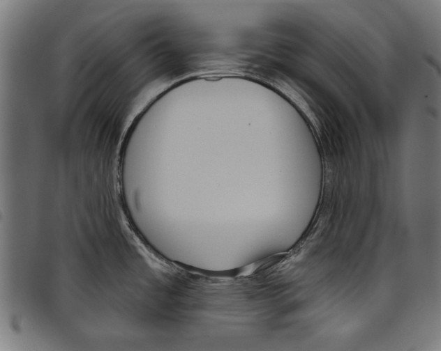 X0000097651485200803280918