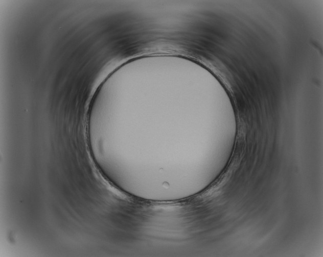 X0000097651486200803280918