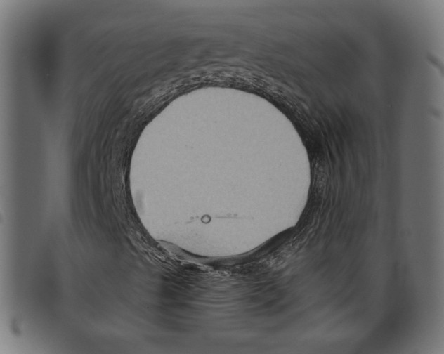 X0000097651489200803280917