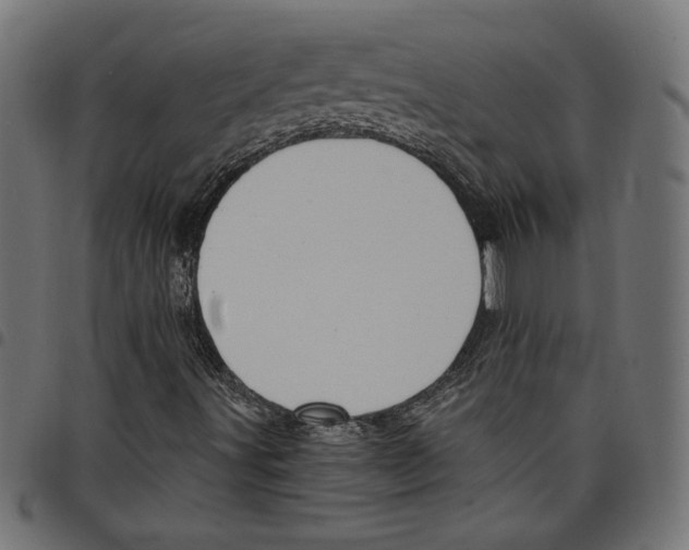 X0000097651491200803280917