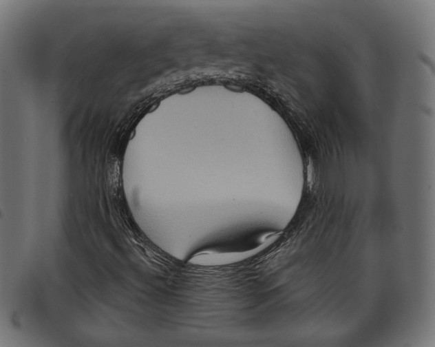 X0000097651492200803280917