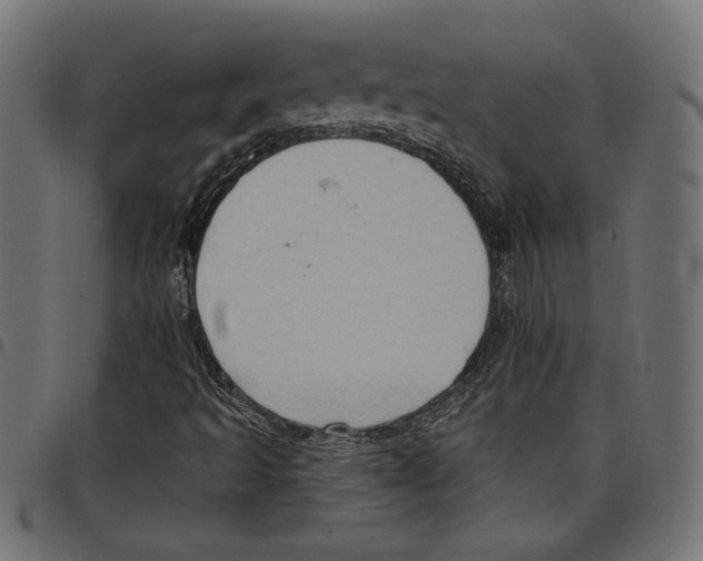 X0000097651493200803280917