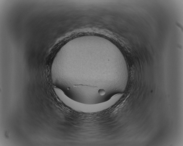 X0000097651494200803280917