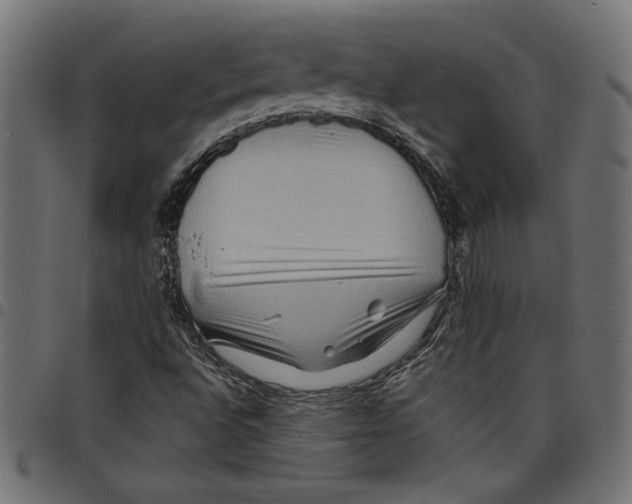 X0000097651496200803280917