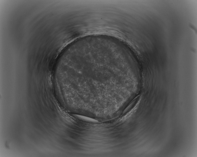 X0000097651497200803280917