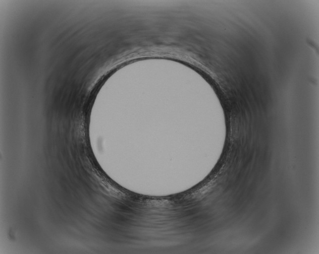 X0000097651498200803280917