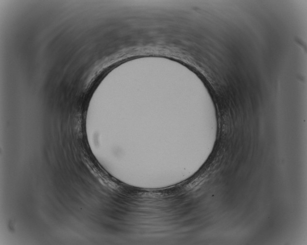 X0000097651499200803280917