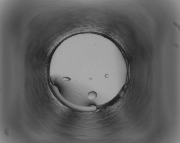 X0000097651500200803280917