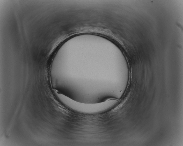 X0000097651501200803280917