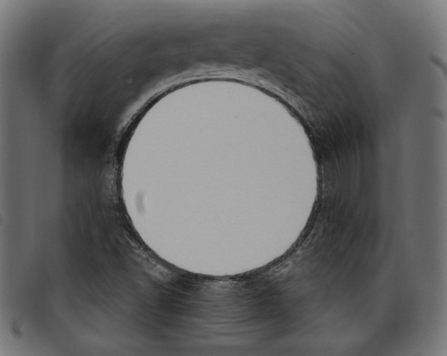 X0000097651502200803280917