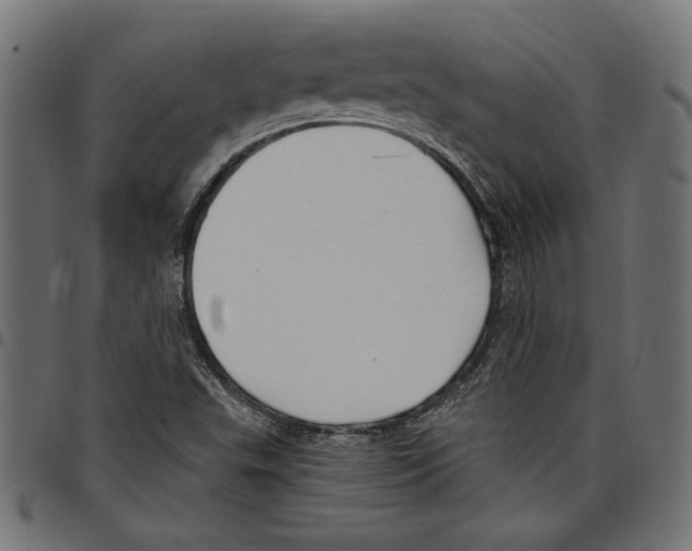 X0000097651503200803280917