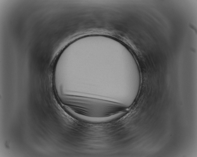 X0000097651504200803280917