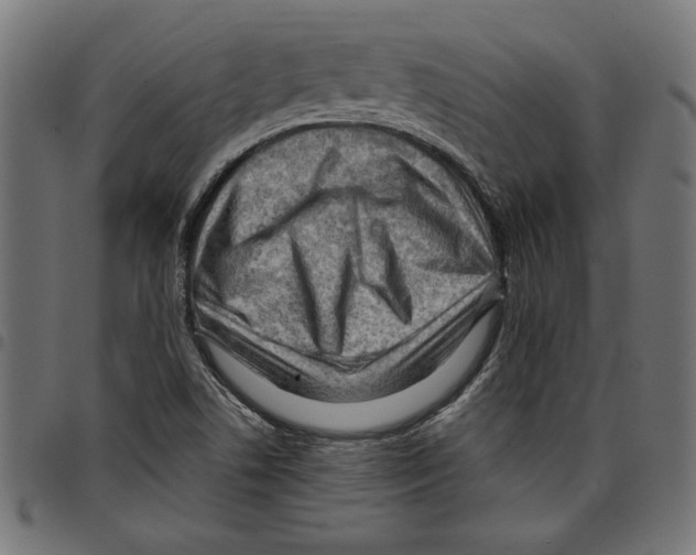 X0000097651506200803280917