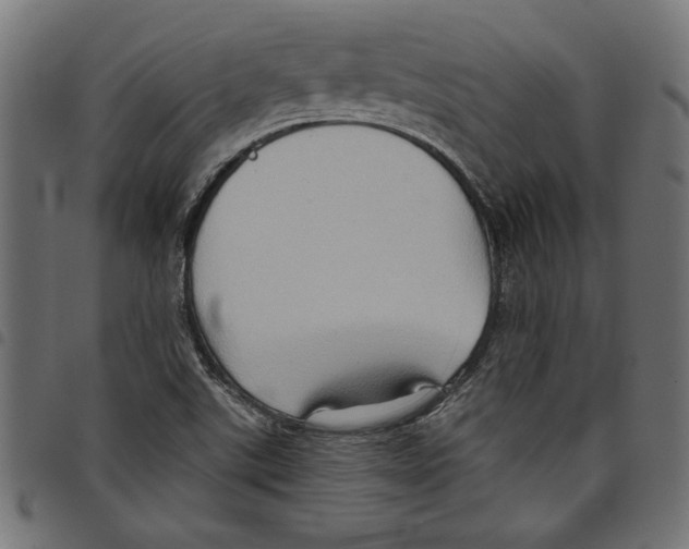 X0000097651507200803280917