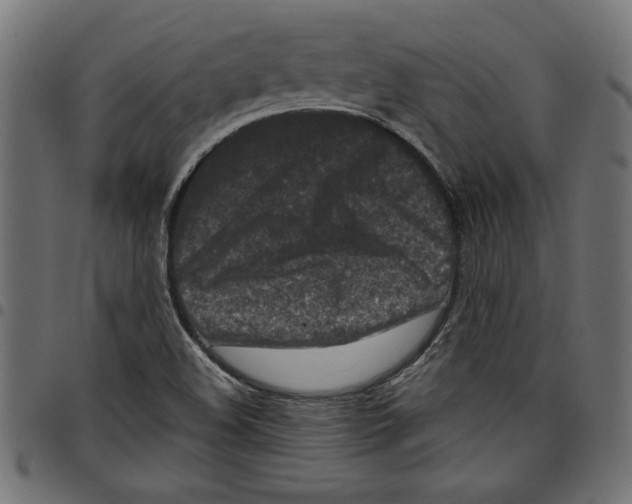 X0000097651508200803280917