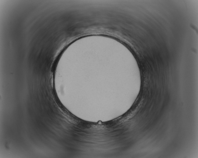 X0000097651509200803280917