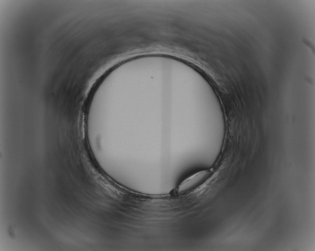 X0000097651510200803280917