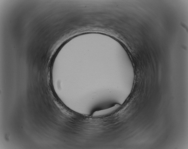 X0000097651511200803280917