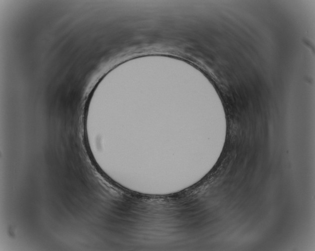 X0000097651512200803280917