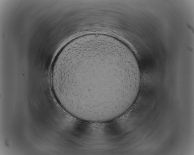 X0000097651514200803280917