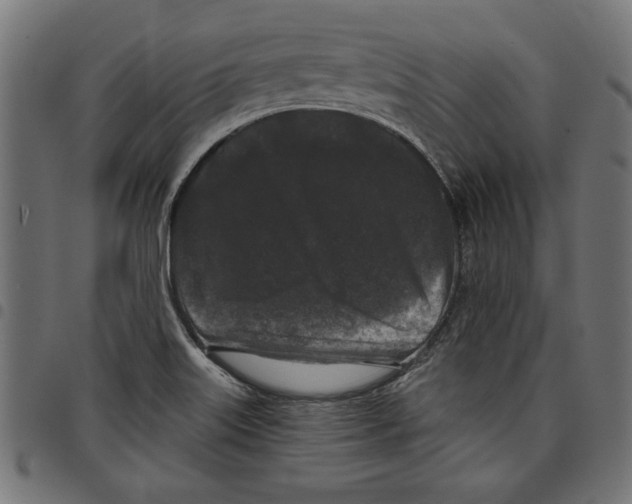 X0000097651515200803280917